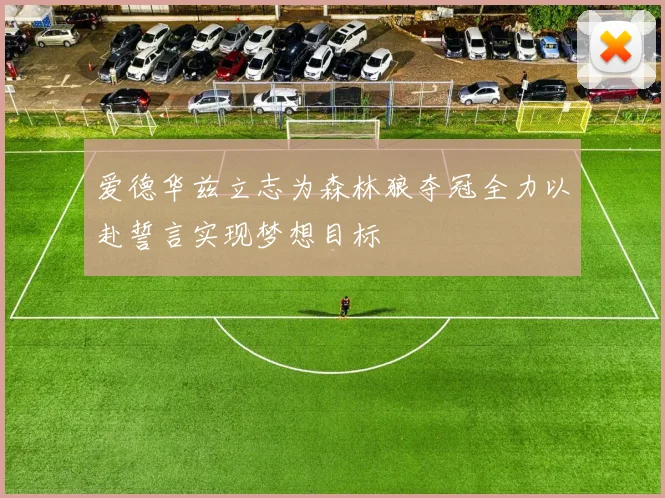 爱德华兹立志为森林狼夺冠全力以赴誓言实现梦想目标