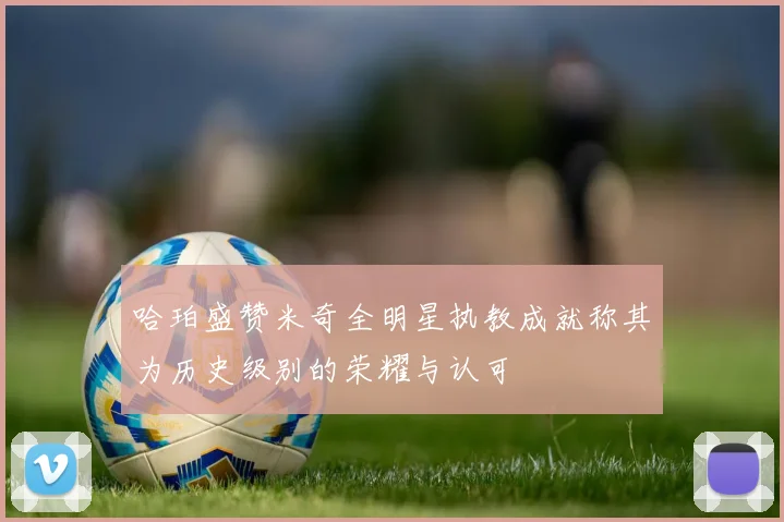 哈珀盛赞米奇全明星执教成就称其为历史级别的荣耀与认可