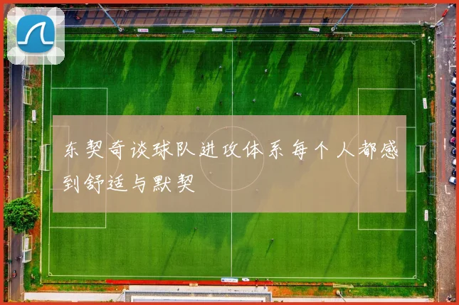 东契奇谈球队进攻体系每个人都感到舒适与默契