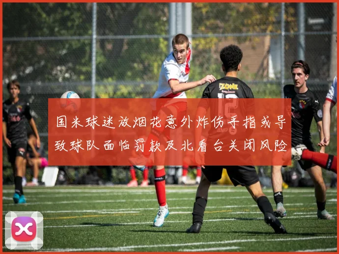 国米球迷放烟花意外炸伤手指或导致球队面临罚款及北看台关闭风险