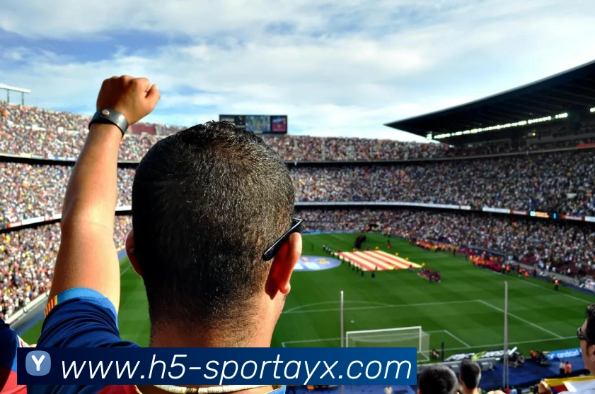 爱游戏平台生态图